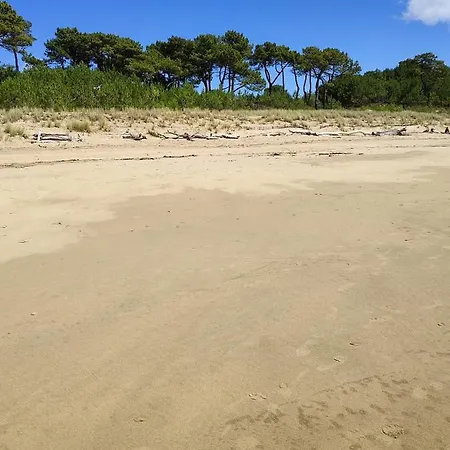 Idealement Situe, A Pied, 60m2 Saint-Georges-de-Didonne